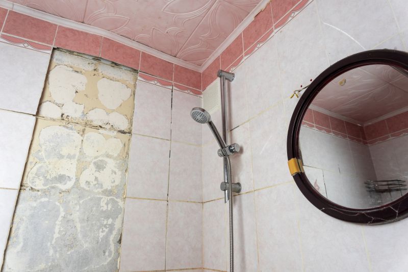 Top Shower Remodeling Companies in Big Lake, MN