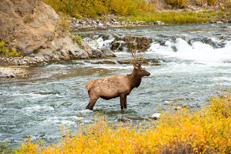 Best Shower Remodeling pros in Elk River, MN