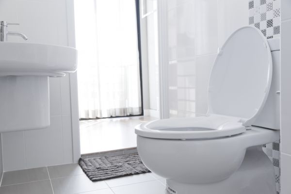 Cost of Toilet Relocation in Elk River